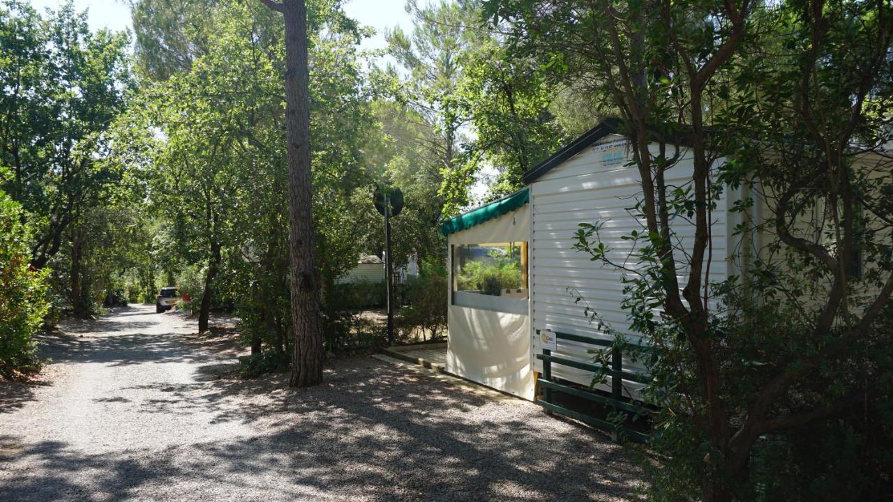 Chalets Met Buitenkeuken Op Camping Lei Suves - Joycasa Roquebrune-sur-Argens Exterior photo
