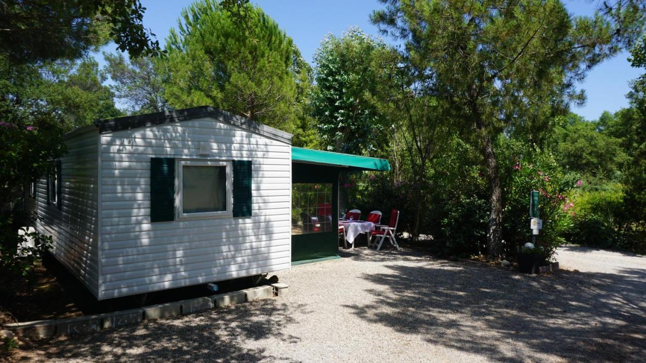 Chalets Met Buitenkeuken Op Camping Lei Suves - Joycasa Roquebrune-sur-Argens Exterior photo